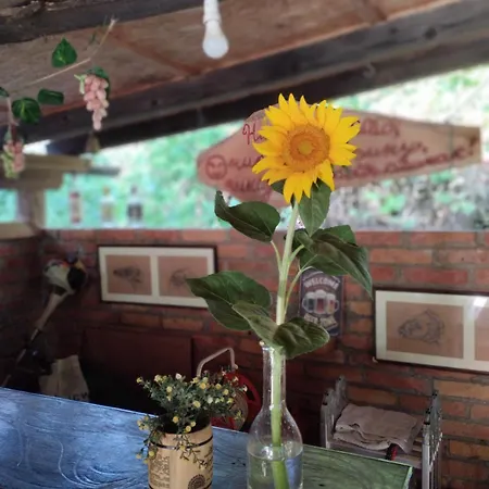 House&mini-camp Skelica Hébergement de vacances *