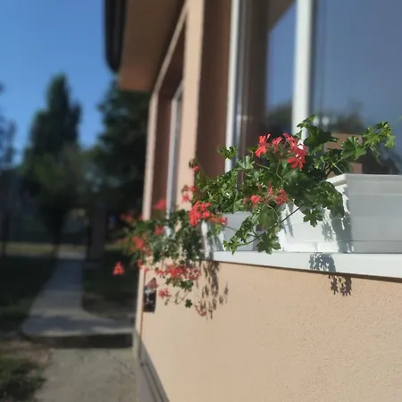 House&mini-camp Skelica *