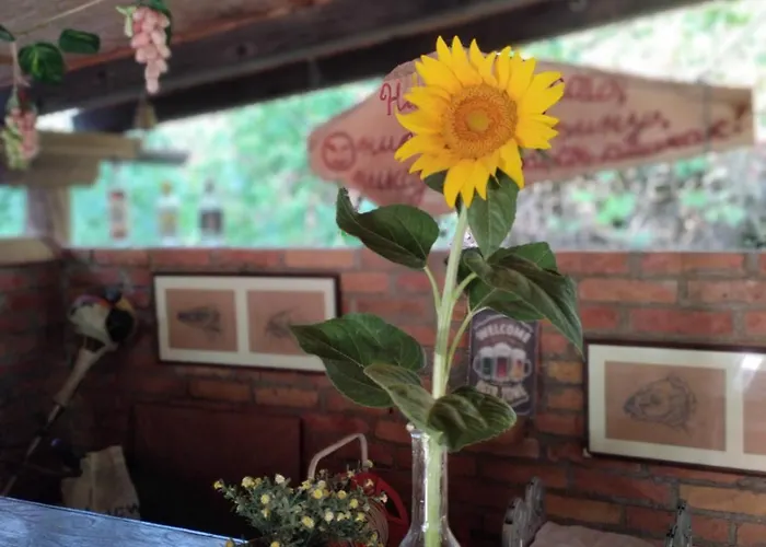 House&mini-camp Skelica Дом отдыха *